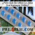 ¿Para Qué Se Utiliza La Jalea Oral Kamagra 100Mg 22